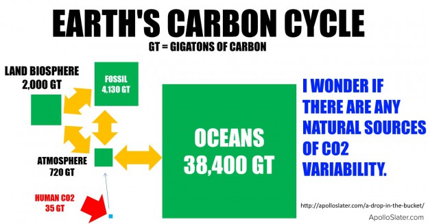 Humans CO2 contribution to carbon cycle