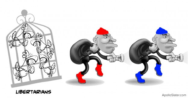 Libertarian squabbling