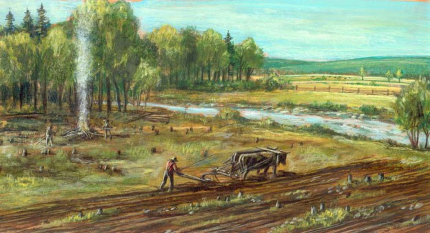 Clearing land for farming