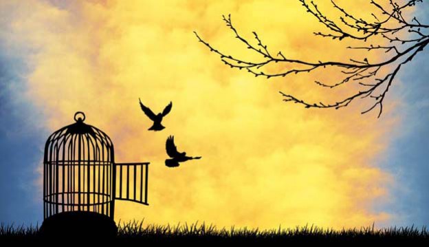 Birds flying to freedom