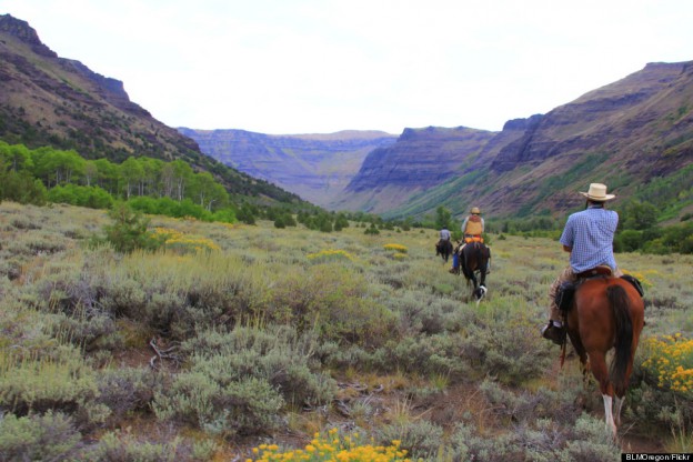 Liberty pioneers, showing the way through the economic wilderness